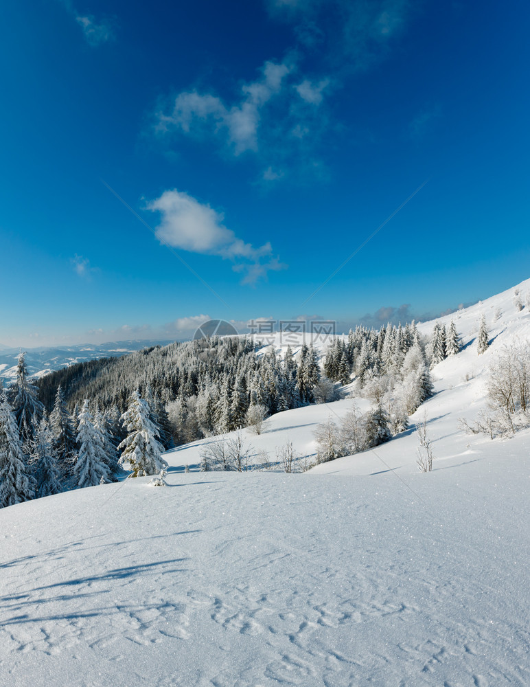 冬季平静的山区风景坡上有美丽的霜冻树木和雪流喀尔巴阡山乌克兰图片