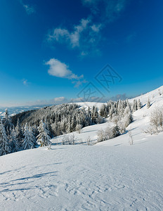冬季平静的山区风景坡上有美丽的霜冻树木和雪流喀尔巴阡山乌克兰图片