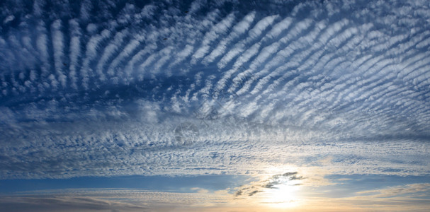 日落的夏夜天空全景有羊毛圆云和阳光背景天空中的大海鸥鸟两针缝合图像图片