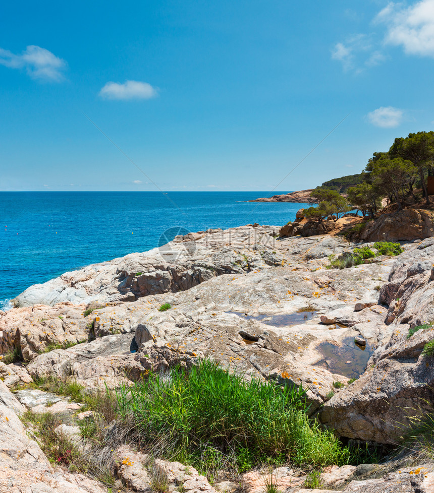 西班牙加泰罗尼亚州科斯塔布拉瓦地中海岩岸夏季风景塔马留湾附近图片
