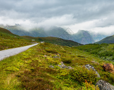 石九公Aurlandsfjjellet挪威风景路线高地公上的夏季山地多云农村景观背景