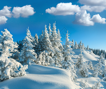 冬季雪上的漂覆盖山边顶有林树木背景图片