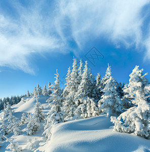 冬季雪上的漂覆盖山坡和顶的圆树以及深云的蓝色天空图片