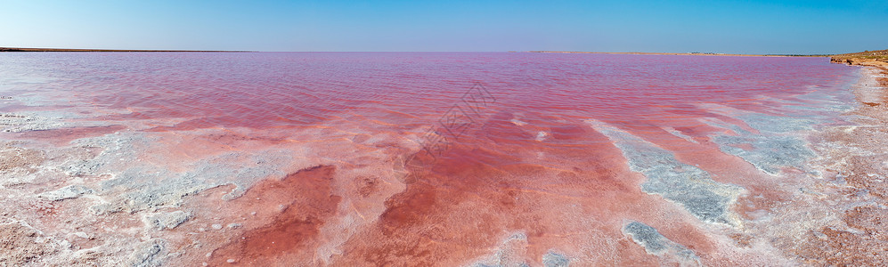 克里姆粉色极咸西瓦什湖以微藻为颜色含晶状盐沉降物又称普特里德海或罗滕乌克兰特森地区里米亚和阿拉巴特斯匹附近背景