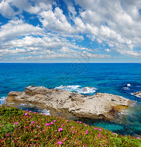 夏季盛开的大西洋海岸线风景有粉红花西班牙图片