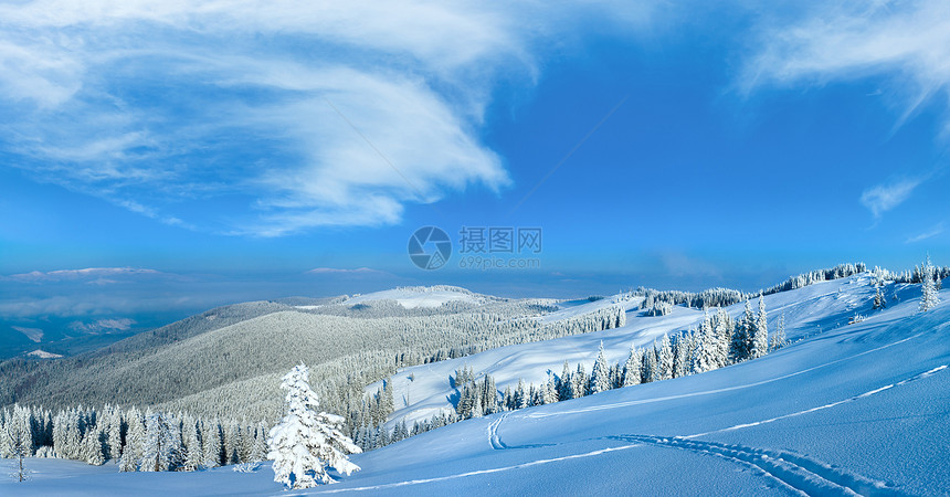 坡上有森林的喀尔巴阡山全景图片