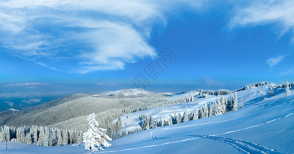 坡上有森林的喀尔巴阡山全景图片