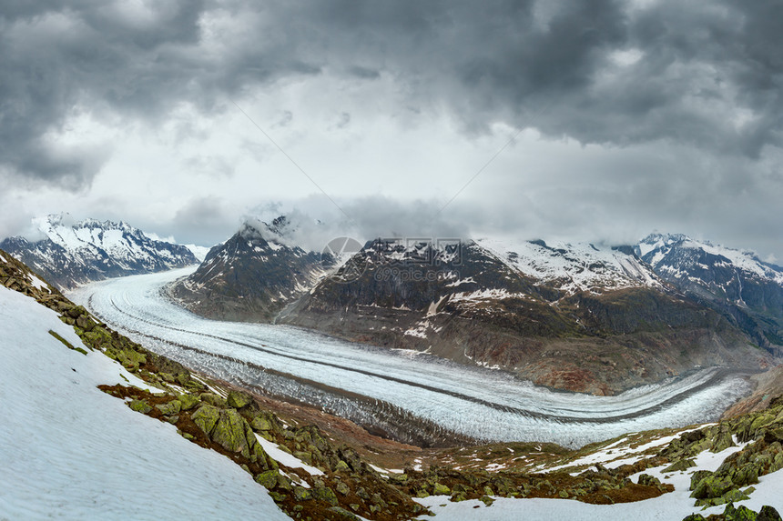 大阿莱施冰川和雪的夏季降于全景贝特默霍恩瑞士阿尔卑斯山图片