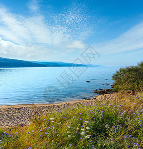 早上好沙卡斯特里海滩夏季风景尼基蒂锡托亚哈尔基迪希腊背景图片