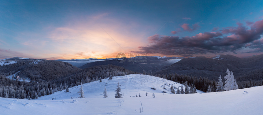 日落冬山全景有雪覆盖的树木喀尔巴阡山乌克兰图片