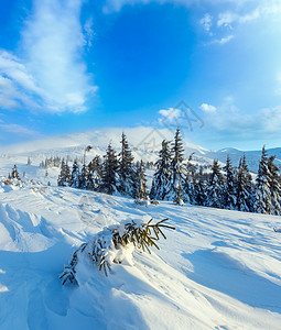 前面的斜坡上下着小风雪早上冬天山地风景与雪树喀尔巴阡山图片