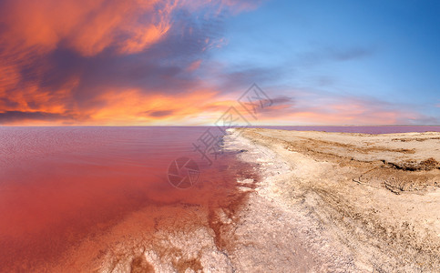 纳斯里德粉红极咸锡瓦什湖上方的红日落以带有晶状盐沉降物的微藻为颜色也称普特里德海或罗滕乌克兰赫尔森地区背景