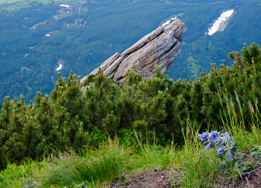 夏季山脊上的巨石喀尔巴阡山科霍诺拉武哈季卡明杰乌克兰图片