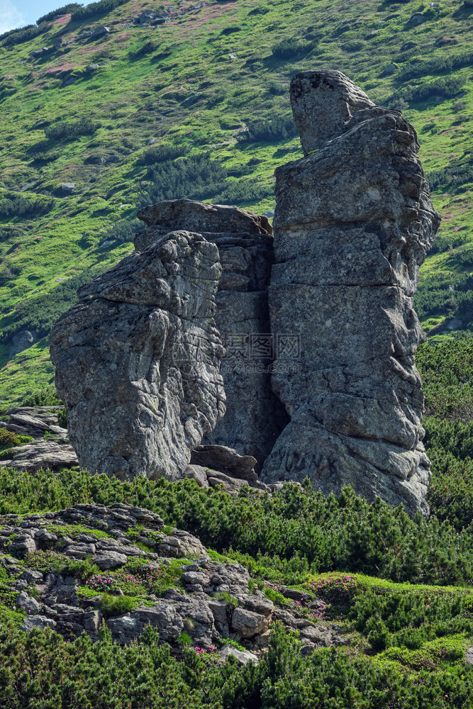 夏季山脊上的巨石垂直喀尔巴阡山克霍诺拉武哈季卡米尼乌克兰图片