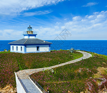 夏季海洋岛屿Pancha海岸线景观有灯塔和粉红色花朵西班牙图片