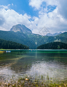 米荷雅克黑湖Crnojezero夏季景观黑山扎布尔雅克市Durmitor人是不可辨认的背景