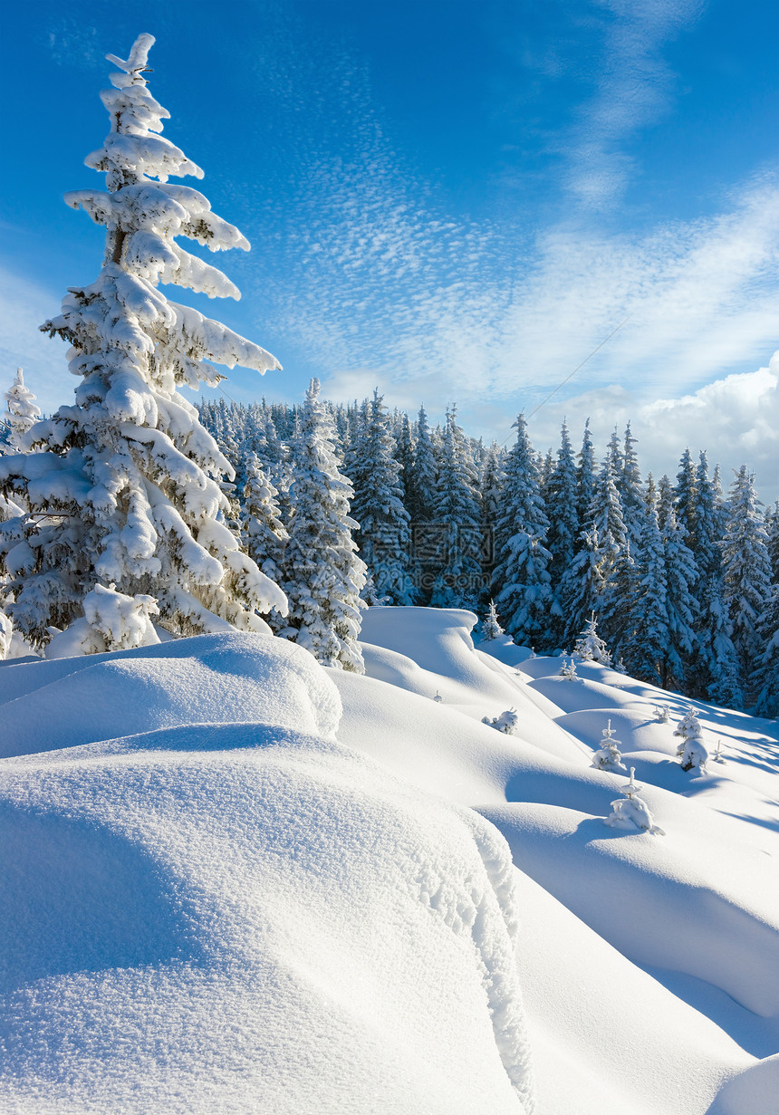 清晨雪冬平静的山地景观坡上有美丽的冰冻壁树喀尔巴阡山乌克兰图片
