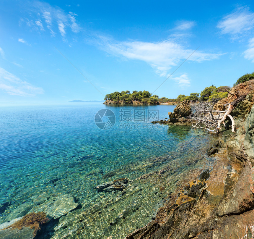 上午爱琴海岩石岸景观上有松树西托尼亚AgKiriaki附近希腊哈尔基迪图片
