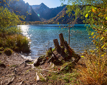 秋天风景阿尔卑斯山湖南德萨尔兹卡默古特上奥地利阳光闪照明弹可用图片