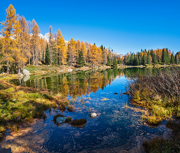 圣佩莱格里诺山口附近的秋天阿尔卑斯山湖意大利特伦蒂诺多洛米特阿尔卑斯图片旅行季节和自然美貌概念场景背景图片