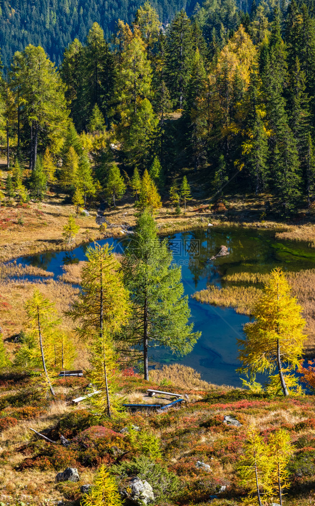 温尼秋天风景和平的山林湖水和反射清晰透明图片