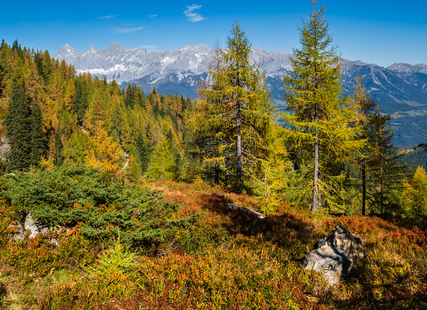 和平的阳光明媚秋天阿尔卑斯山脉的景图片