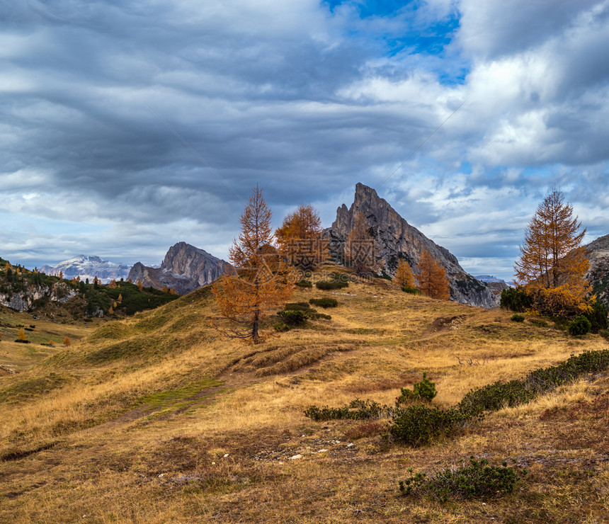 秋天多姿彩的阿尔卑斯山意大利苏格罗Falzarego路的和平景象图片旅行季节自然和乡村美容概念场景图片