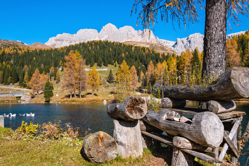 在秋天的阿尔卑斯山池中在离意大利圣佩莱格里诺山口不远的地方TrentinoDolomitesAlps意大利CimaUomo岩石群图片