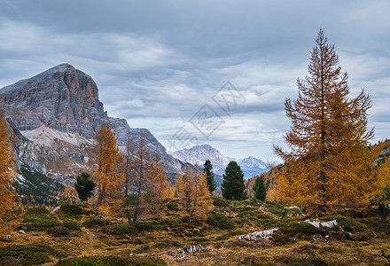 秋天多姿彩的阿尔卑斯山意大利苏格罗Falzarego路的和平景象图片旅行季节自然和乡村美容概念场景背景图片