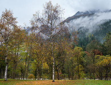 风云和雾的秋天高山景点奥地利LienzerDolomiten阿尔卑斯山和平景象旅行季节自然和农村美貌概念场景背景图片