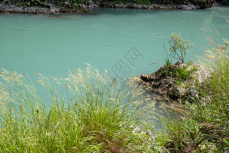 在TaraCanyon黑山河底的夏季风景图片素材