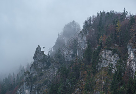 神秘多云和雾秋高山坡奥地利图片