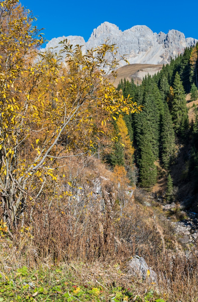 Dolomites山顶图景来自意大利特伦蒂诺多洛米特阿尔卑斯的SanPellegrinoPass环境图片