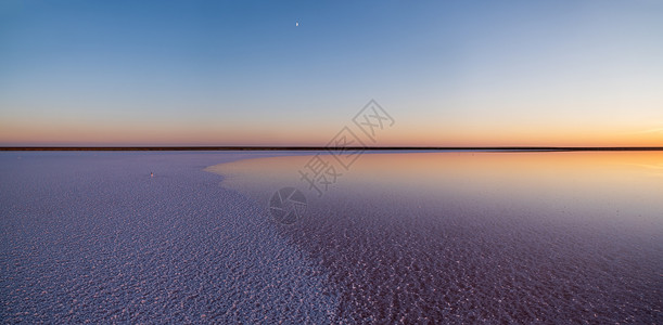 日落的热尼切斯克粉红色极咸湖全景由带有晶状盐沉积的微藻色乌克兰图片