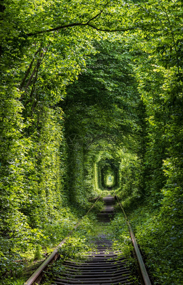 Love隧道位于乌克兰Klevan附近森林的铁路段因此命名为在之前附近村庄的女孩和前军事部队的 都参加约会图片