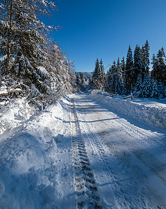 通往边远山区小村庄高的二级公路穿过雪林流和路边的木栅栏图片