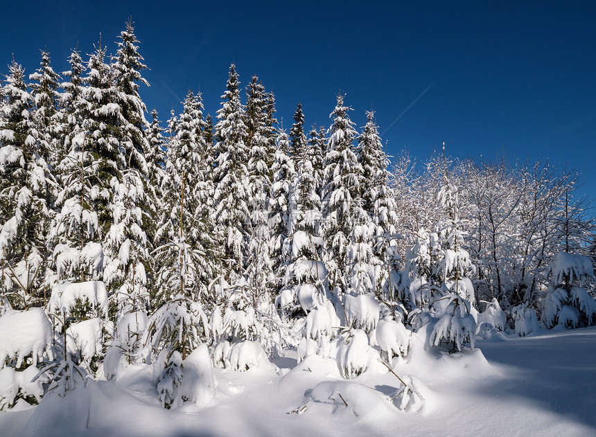 冬季平静的山地景观图片