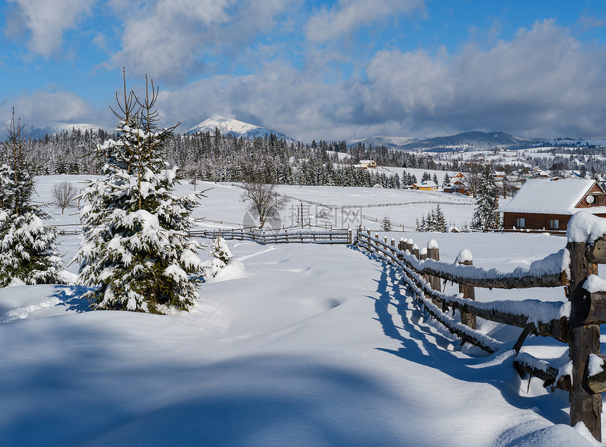 冬季偏远阿尔卑山村郊区农丘林和农田图片