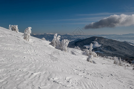 雪覆盖了山高原上的树面有远处的雪玉米在美丽的阿尔卑斯山脊上阳光灿烂图片