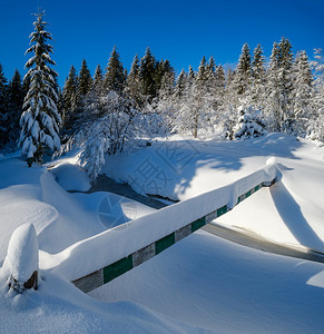 高山雪冬季寒森林带雪流和冰冻的小溪图片