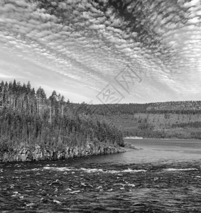 灰度夏天瑞典的一条河图片