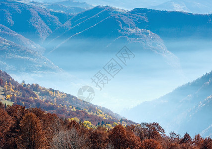 秋天的晨雾喀尔巴阡山和坡上的多彩森林图片