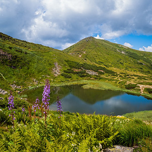 夏季内萨莫维特湖风景科霍诺拉山脊喀尔巴阡乌克兰图片