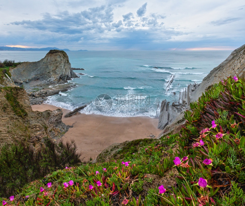 春季夕阳海边岩石景观前面有小沙滩和粉红色花朵西班牙阿尼亚海滩西班牙大洋图片