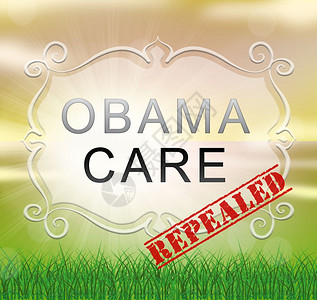 奥巴马医改或取代美国保健改革USA负担得起的保健立法2d说明图片