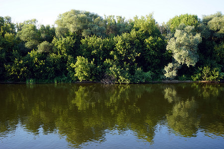 莫斯科附近的奥卡河和森林高清图片