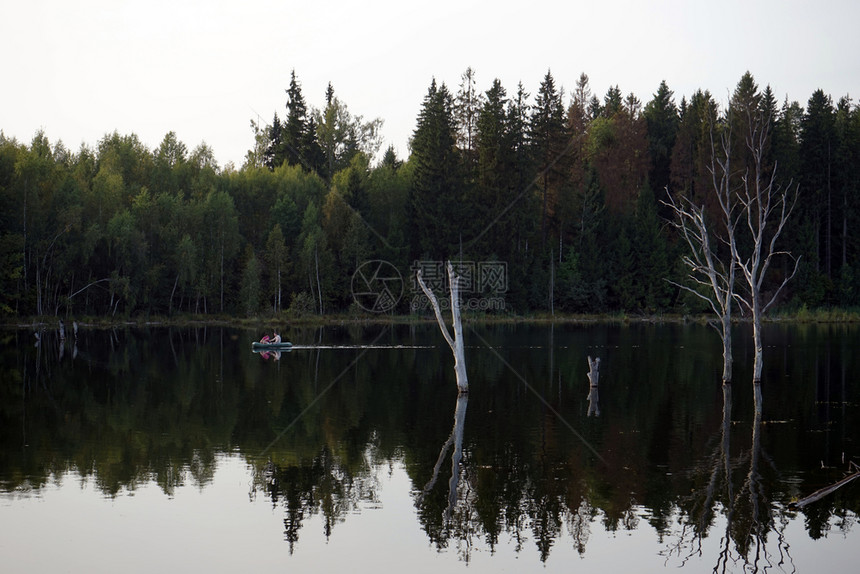 俄罗斯莫科地区森林湖上的橡胶船图片