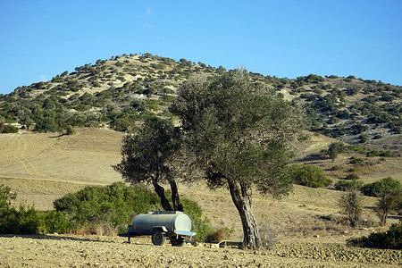 油罐在树下和耕种农田之图片