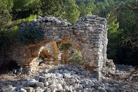 北塞浦路斯古希腊教堂和树木的废墟图片