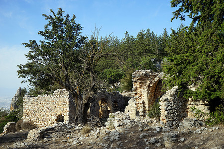 北塞浦路斯古希腊教堂和树木的废墟图片